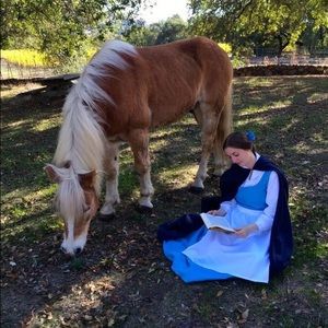 High Quality Disney Belle Cosplay Costume!